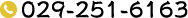 029-251-6163